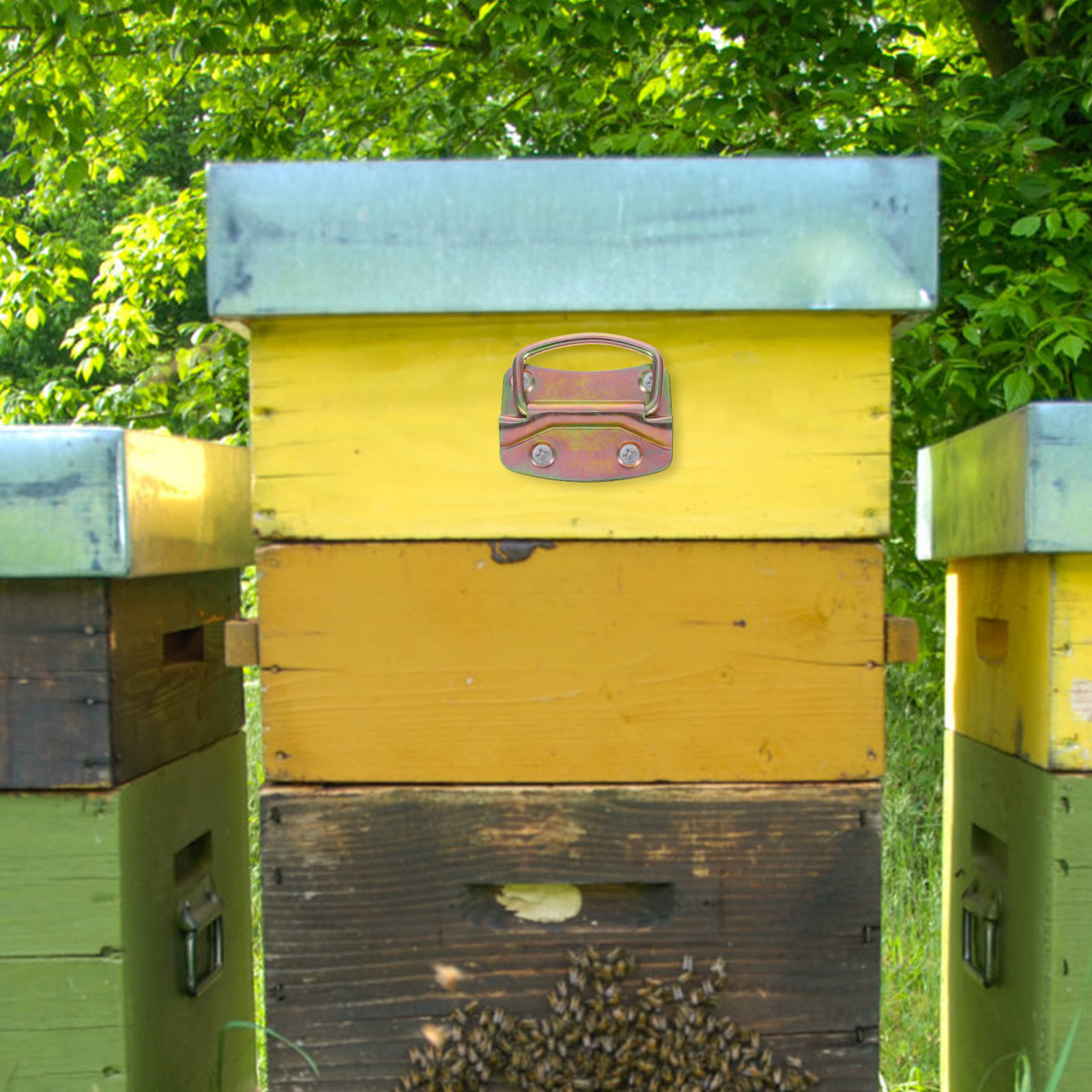 4Pcs Beekeeping Hive Lifting H - Crossfit Lifting avaliação e preço